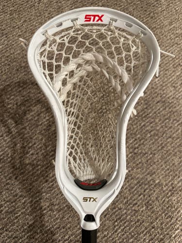 Used Strung Stallion Head