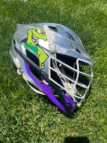 Tenacious Turtles Cascade S Helmet