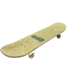 Used Sate Regular Complete Skateboards