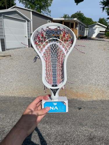 BN ECD DNA 2.0 strung with TMD 10D Force Hex