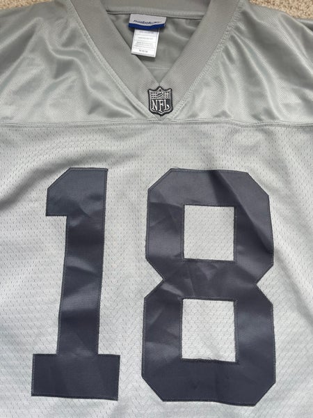 Randy Moss Raiders Jersey