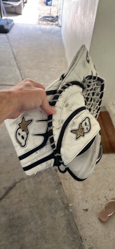 Jr Brian's gnetik x catch glove