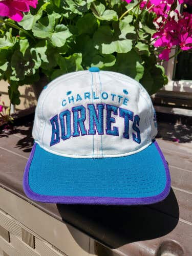 Vintage Rare Charolette Hornets NBA Sports Starter Arch Hat Cap Vtg Snapback