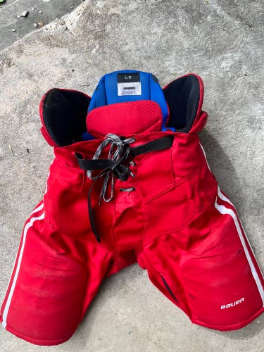 Senior Large Bauer Hockey Pants