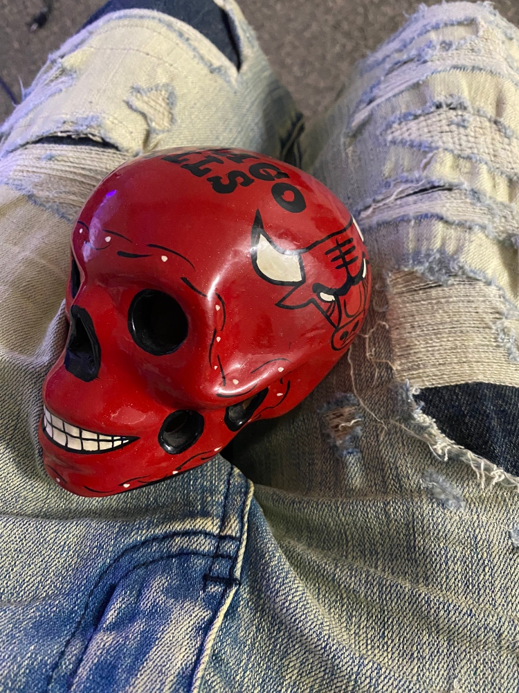 Chicago Bulls Mexican Hand Painted Skull