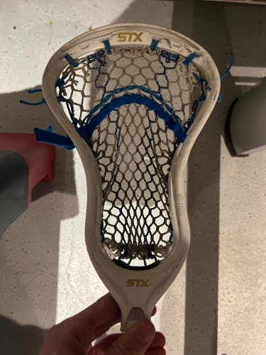 Used Attack & Midfield Strung Stallion Head