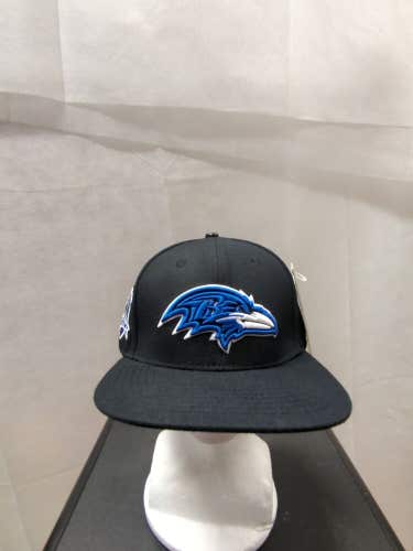 NWS Baltimore Ravens 20th Anniversary Sidepatch Pro Standard Snapback Hat NFL