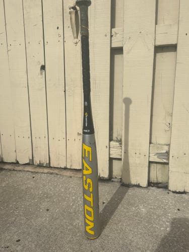 Used Easton (-10) 21 oz 31" XL1 Bat Silver Bullet