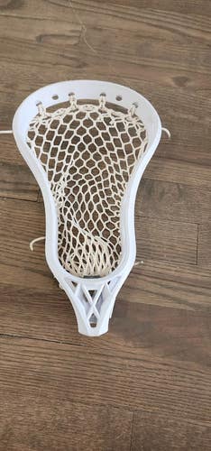 Signature Contract Head with mesh dynasty