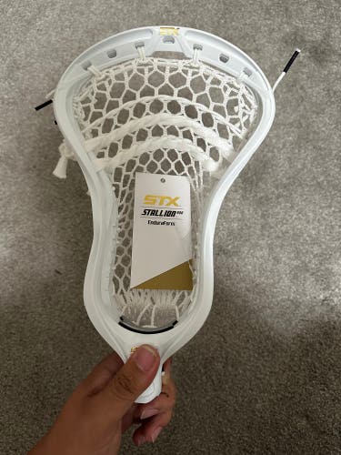 New Attack & Midfield Strung Stallion 900 Head