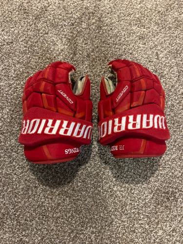 Used Warrior Little Caesar’s (jr. Red Wings) 15" Gloves