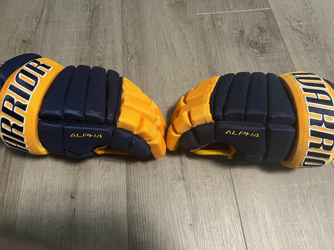 New Warrior 14" Alpha Pro Gloves