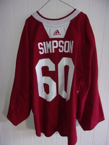 ARIZONA COYOTES Michael Simpson red #60 Adidas practice jersey size 60G goalie cut (Kachina logo)