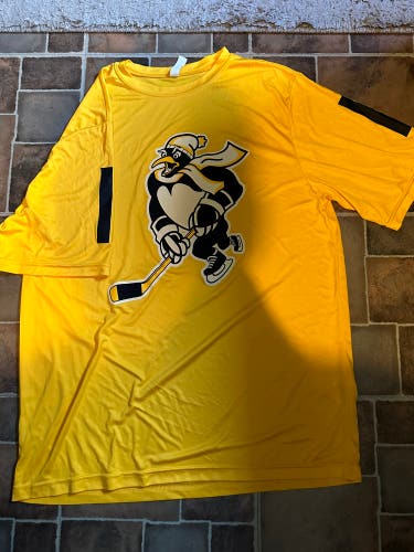 WBS Penguins outdoor game player shirts