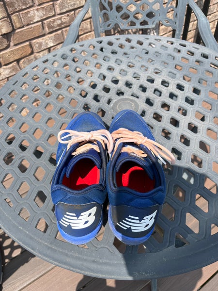 Blue Men's Metal Low Top 3000v5