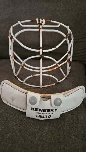 Senior Used HM30 Goalie cage