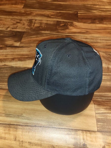 Vintage 90s NFL Carolina Panthers Logo Athletic Brand Baseball