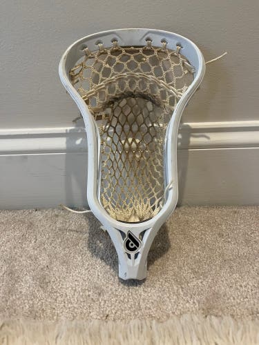 Powell Pioneer 2 Head