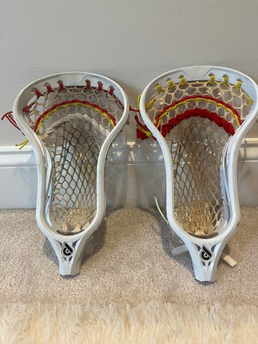 Powell Pioneer 2 Head Bundle