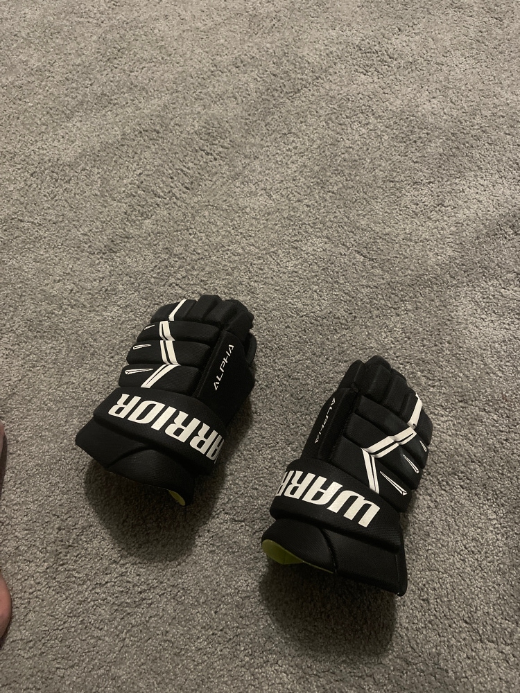 Warrior 10"  Alpha Gloves