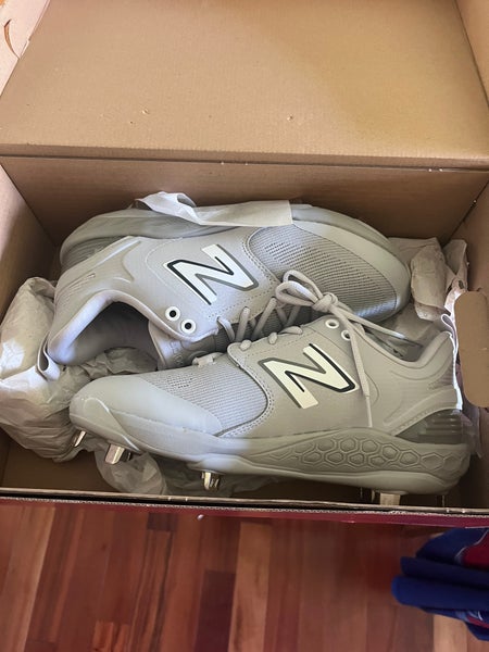 Gray Men's Metal Low Top 3000v6