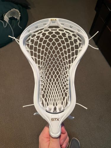 New Stallion 900 Head