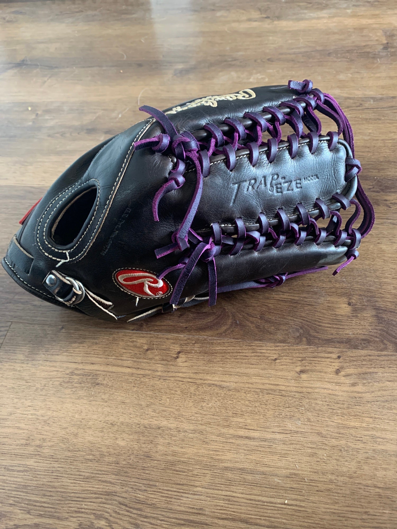 Rawlings Giancarlo Stanton Custom Glove