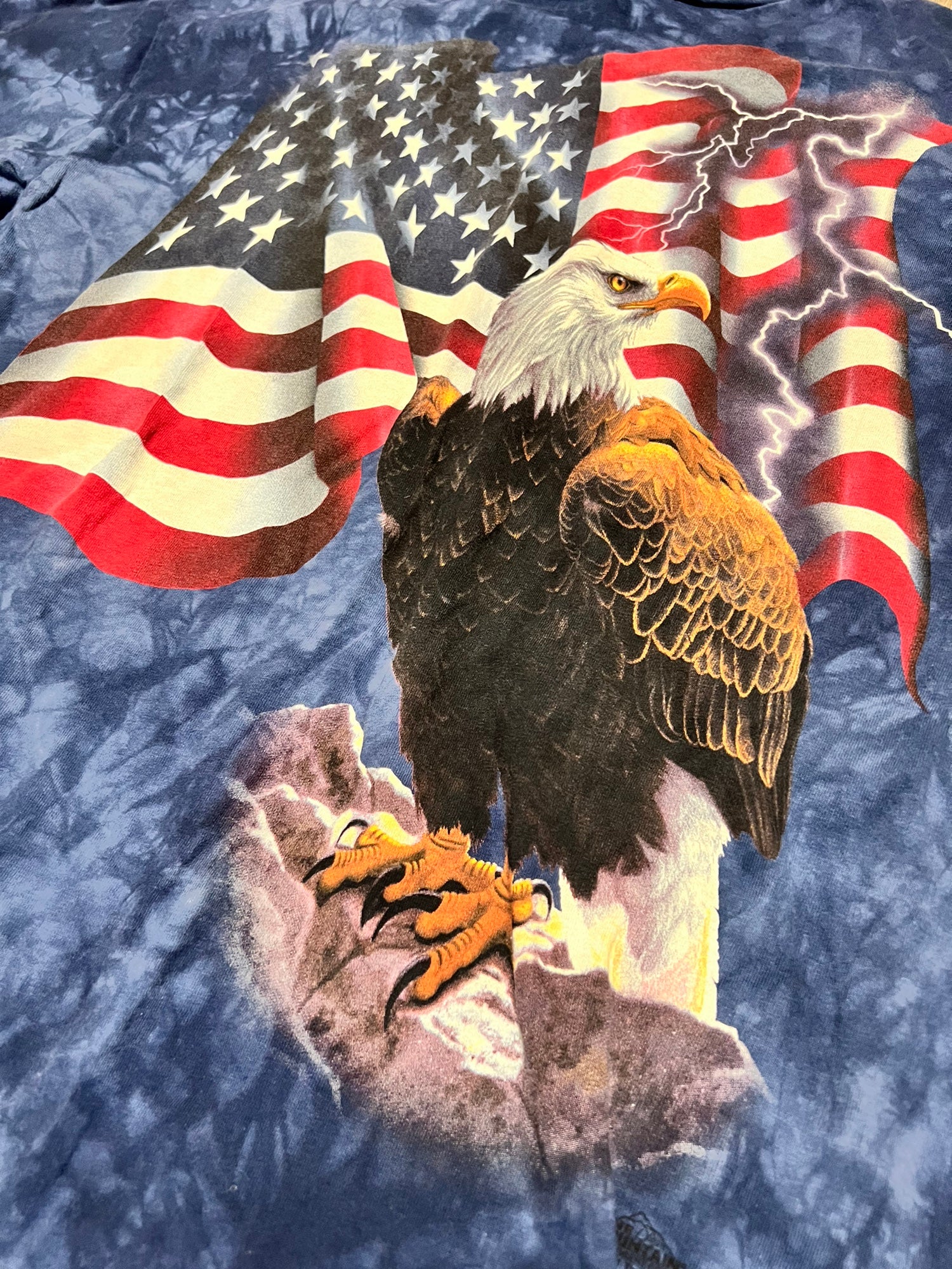 Bird Fluff Vintage Bald Eagle Unisex T-Shirt Asphalt / M