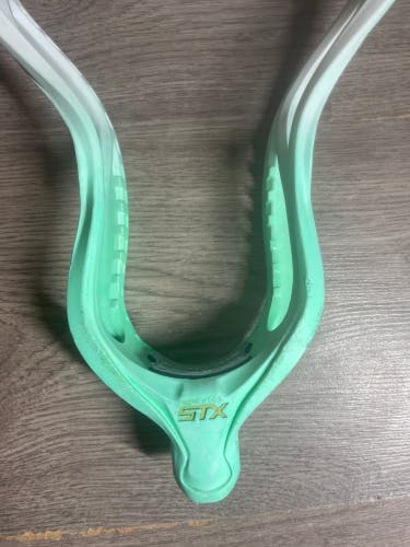 Stallion 900 Head