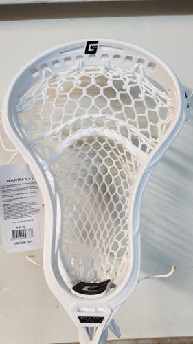 New Gait Mustang Head