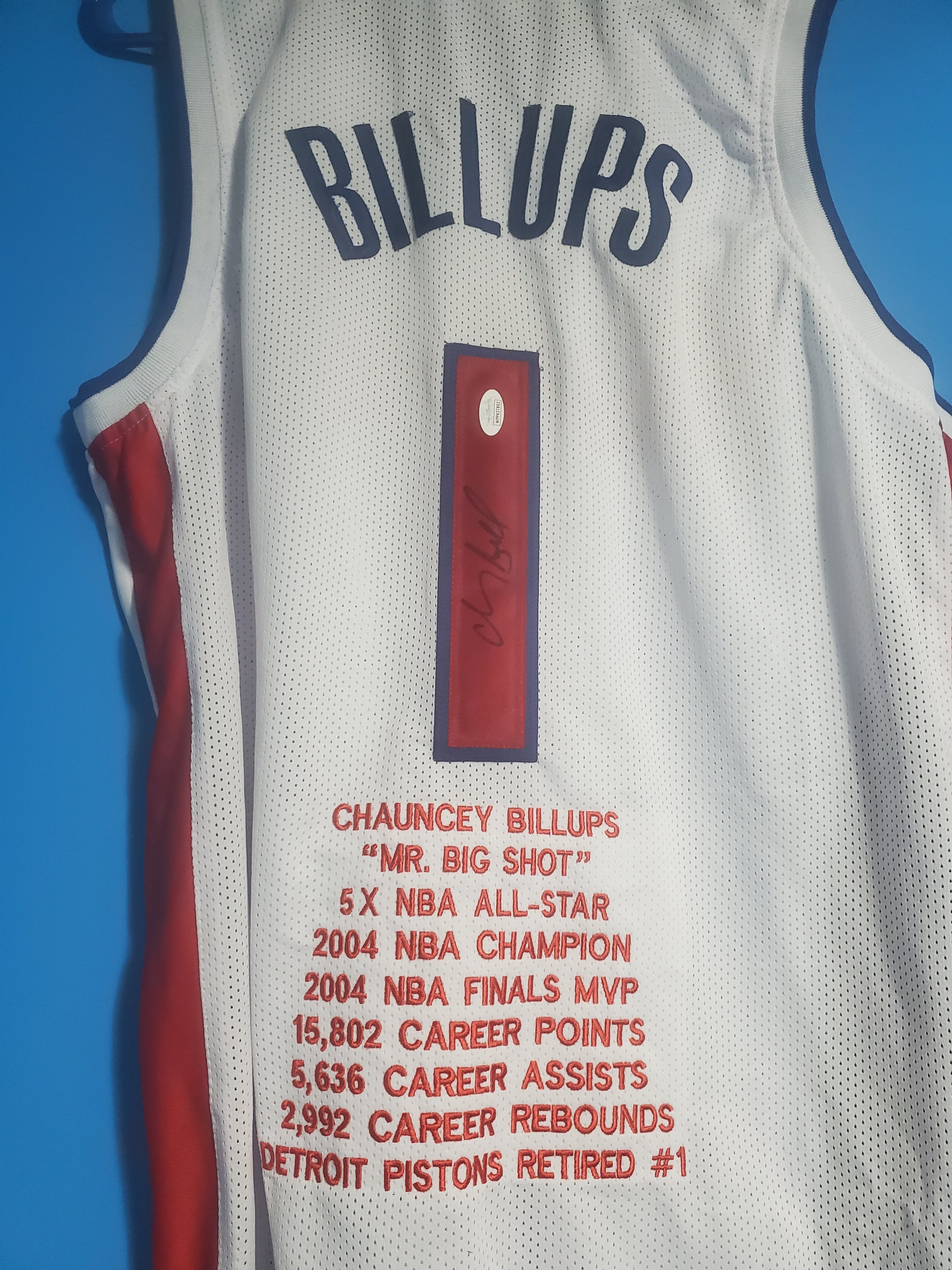Giannis Antetokounmpo Milwaukee Bucks Framed Autographed Nike Green  Swingman Jersey 2019 NBA MVP Collage
