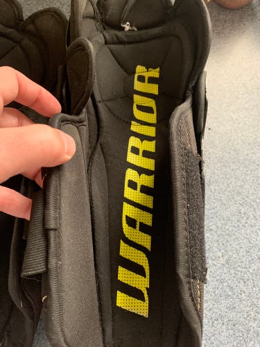 Used Warrior  Alpha DX3 Shin Pads