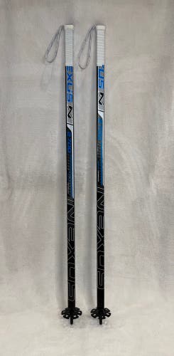 Hockey Stick Ski Poles