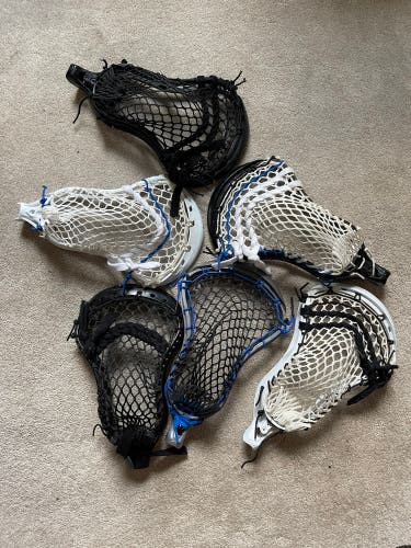 Batch of six strung heads (Stallion, Lakota, StringKing)