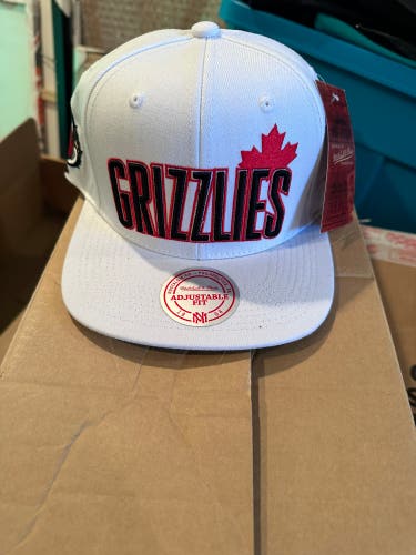 Vancouver Grizzlies Canada Day hat-NWT Limited edition