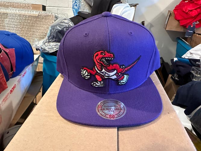 Toronto Raptors Purple Dinos hat-NWT by Mitchell & Ness