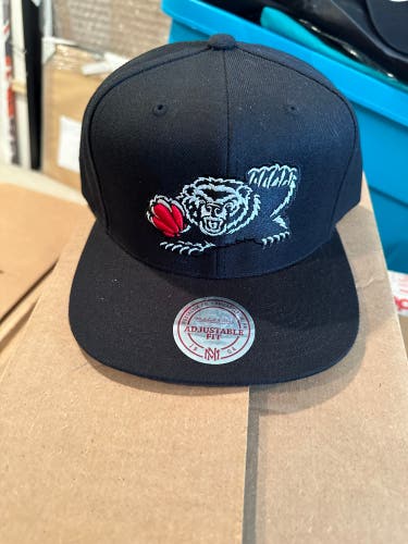 Vancouver Grizzlies Iridescent Hat by Mitchell & Ness-NWT