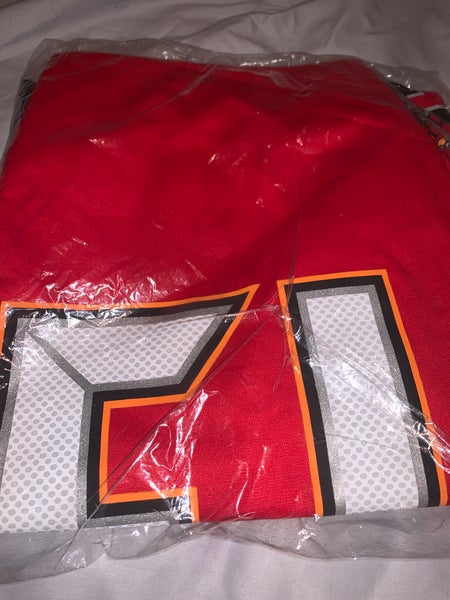 Mike Evans Tampa Bay Buccaneers Nike Inverted Legend Jersey - Gray