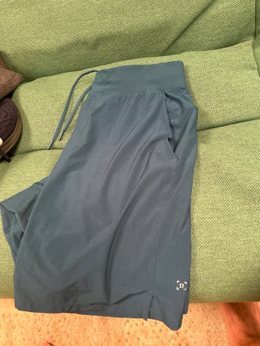 Lulu lemon THE shorts men’s m