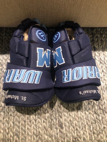 Warrior 14" Pro Stock Alpha DX Pro Gloves