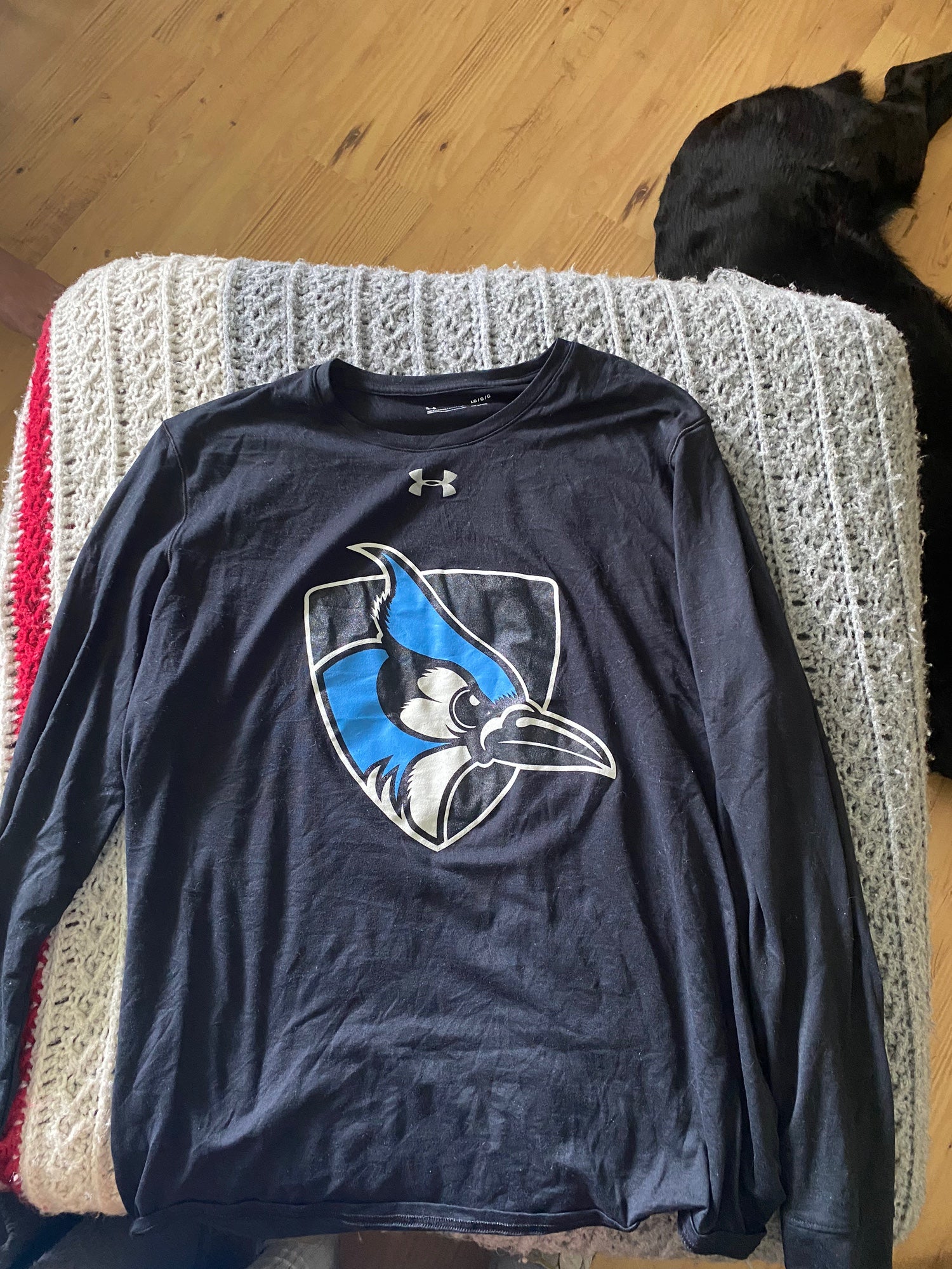 Men's Champion Gray Johns Hopkins Blue Jays Football Jersey Long Sleeve T- Shirt