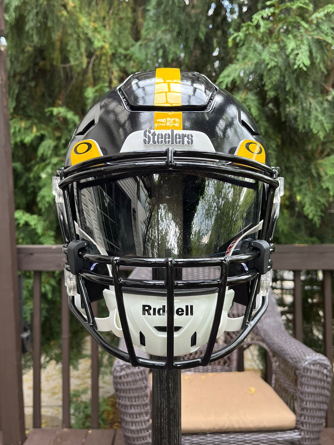 Pittsburgh Steelers Riddell Diamond Speedflex