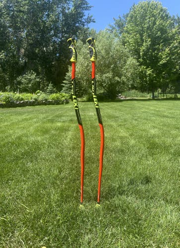Used 44in (110cm) Leki Racing World Cup GS Ski Poles