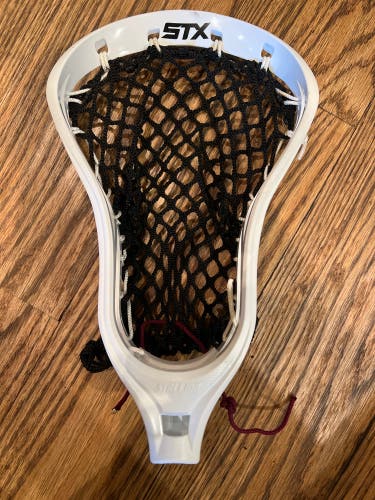 Used Strung Stallion Head