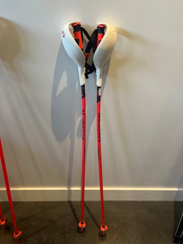 Used 48in (120cm) Rossignol Slalom Ski Poles