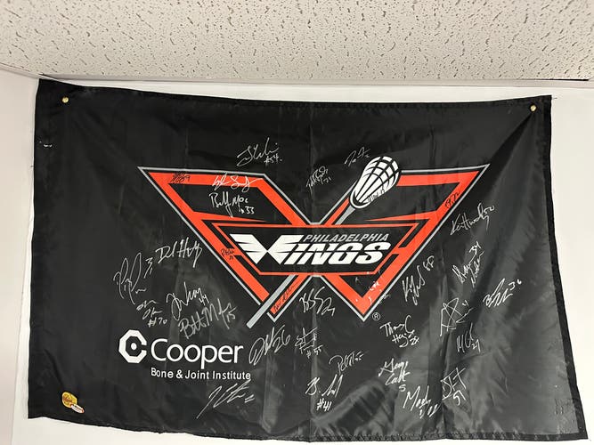 philadelphia wings flag