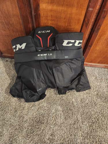 Senior Used Large CCM Axis 1.9 Hockey Goalie Pants