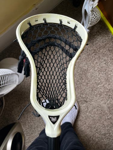 Used Strung DNA Head