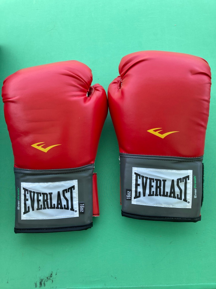 Used Everlast Gloves