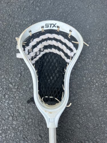 Stx stallion lacrosse Head
